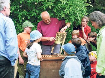 FondsGoetheanum: Die Bienen und wir