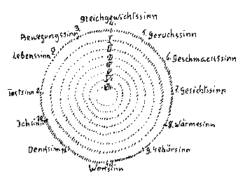 Sinneslehre Rudolf Steiner